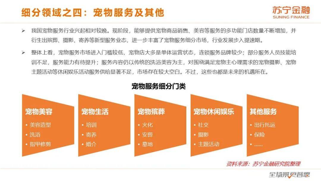 新奥门资料免费精准127期分析，揭秘数字背后的秘密,新奥门资料免费精准127期 02-03-09-26-28-33P：07