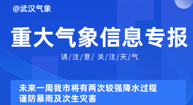 探索未来，2025新奥资料免费精准解析与洞察,2025新奥资料免费精准071133期 10-24-29-31-36-39N：21