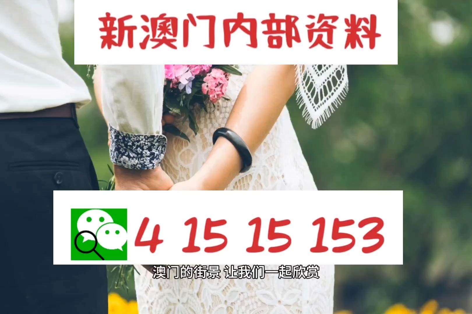 新澳精准正版资料免费第081期解析，探索数字世界的秘密宝藏,新澳精准正版资料免费081期 29-07-10-48-23-31T：06